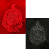 Delta Sigma Theta DST Crested Scarf Poncho