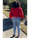 Delta Sigma Theta DST Crested Sherpa Quarter Zip