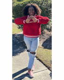 Delta Sigma Theta DST Crested Sherpa Quarter Zip