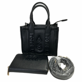 Delta Sigma Theta DST 2pc Mini Tote Bag/Wallet Set