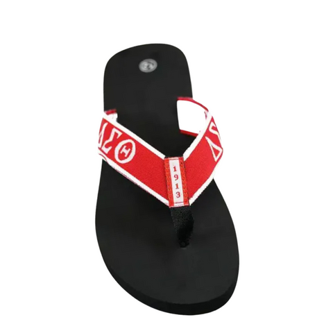 Delta Sigma Theta DST Flip Flops