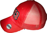 Delta Sigma Theta DST Chenille 1913 Distressed SnapBack