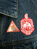 Delta Sigma Theta DST Sisterhood Lapel Pin