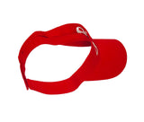 Delta Sigma Theta DST Classic Visor