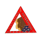 Delta Sigma Theta DST Sisterhood Lapel Pin