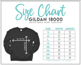 Delta Sigma Theta DST Sweatshirt Chenille Fortitude