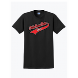 Delta Sigma Theta DST Vintage Logo Sweatshirts and Tees