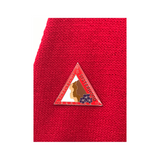 Delta Sigma Theta DST Sisterhood Lapel Pin